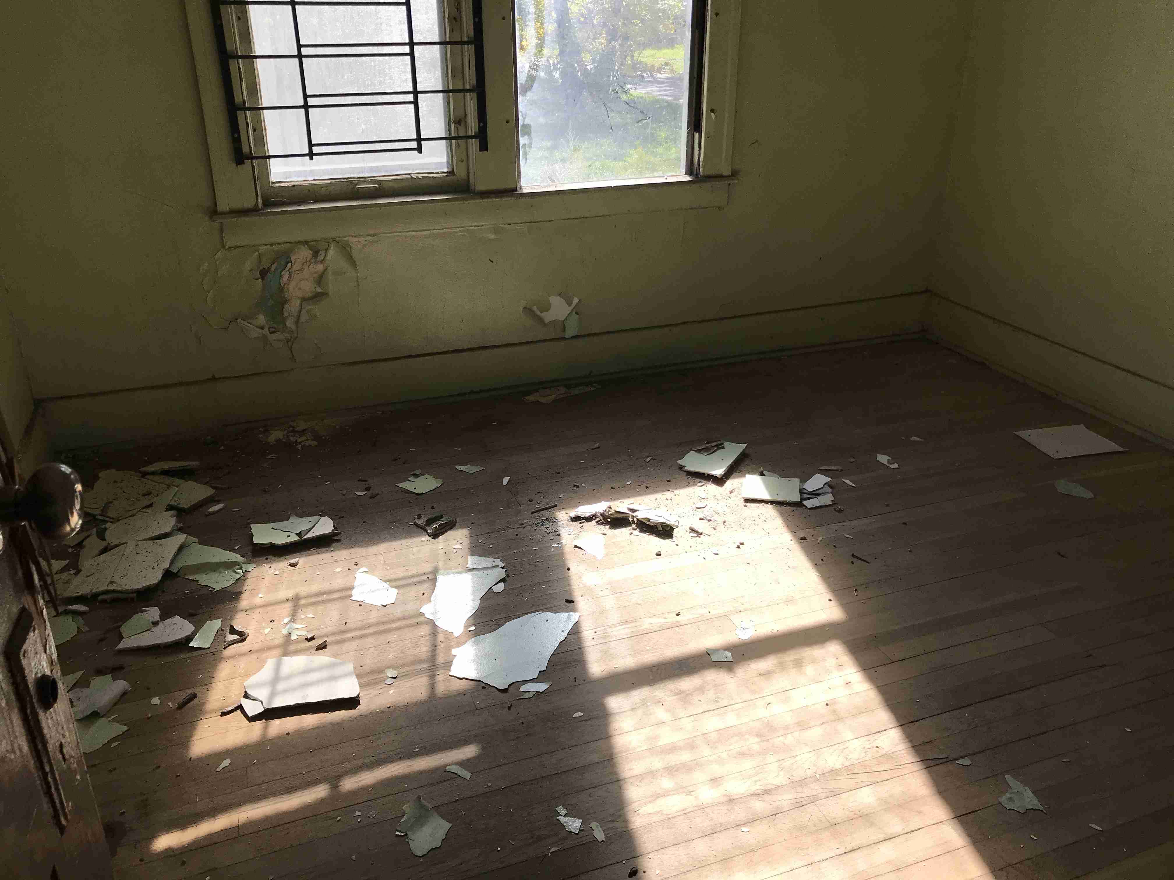 Photo Oct 13, 12 35 54 PM.jpg